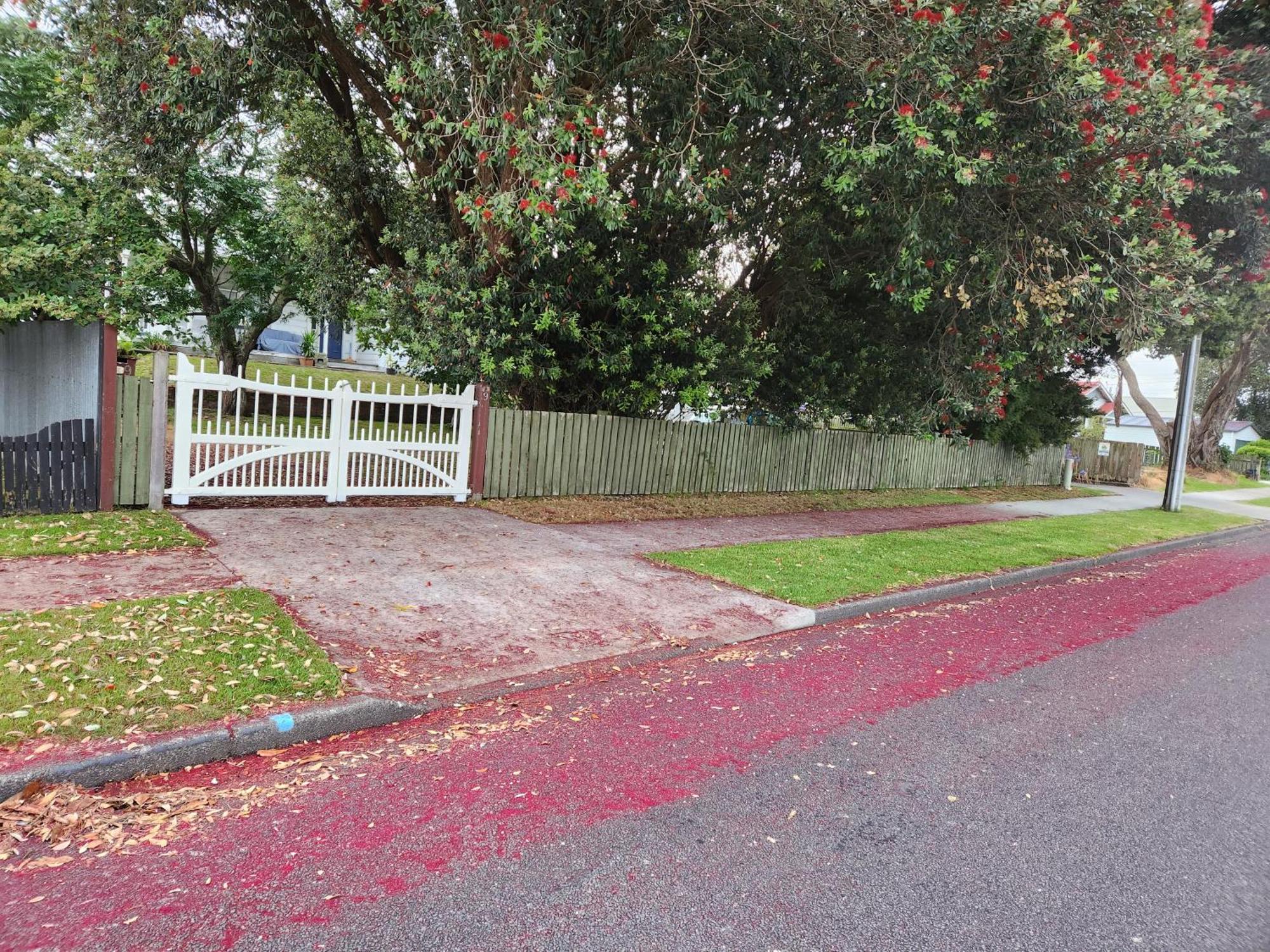 Quirky Villa Homestay Whanganui Bagian luar foto