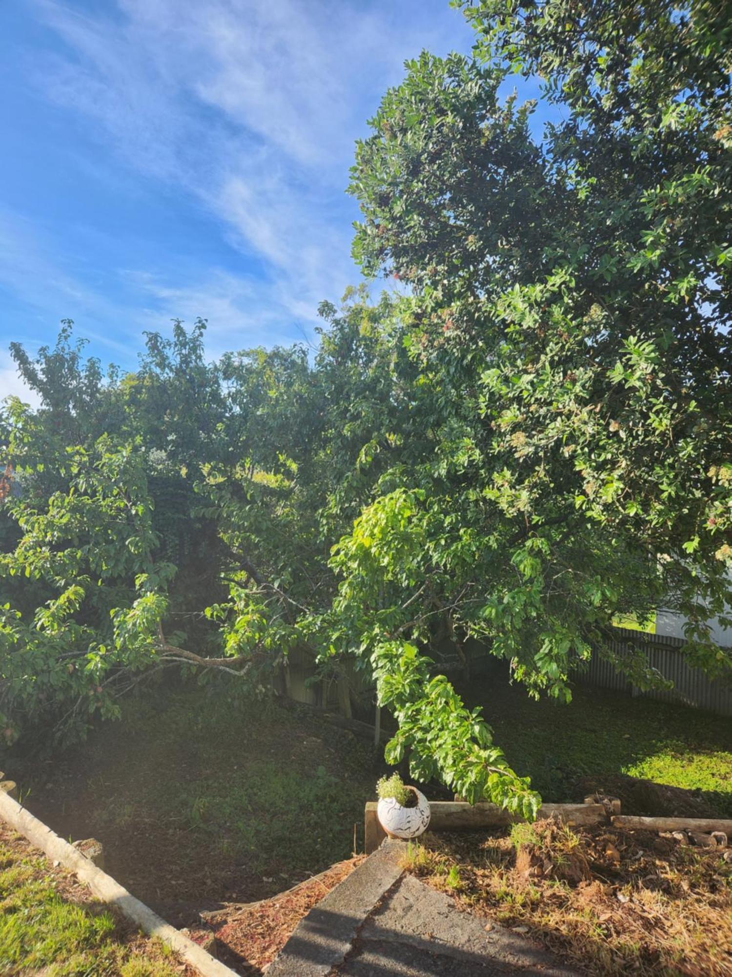 Quirky Villa Homestay Whanganui Bagian luar foto